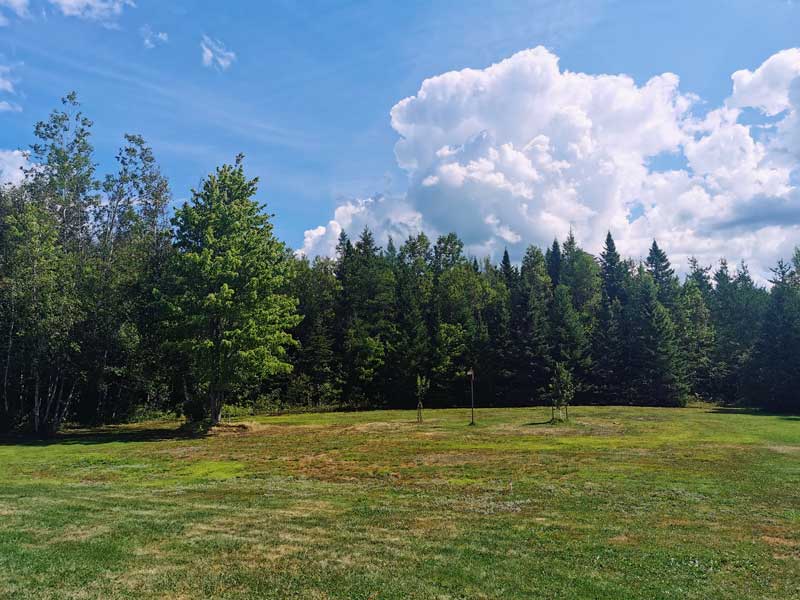 open field bordered by trees